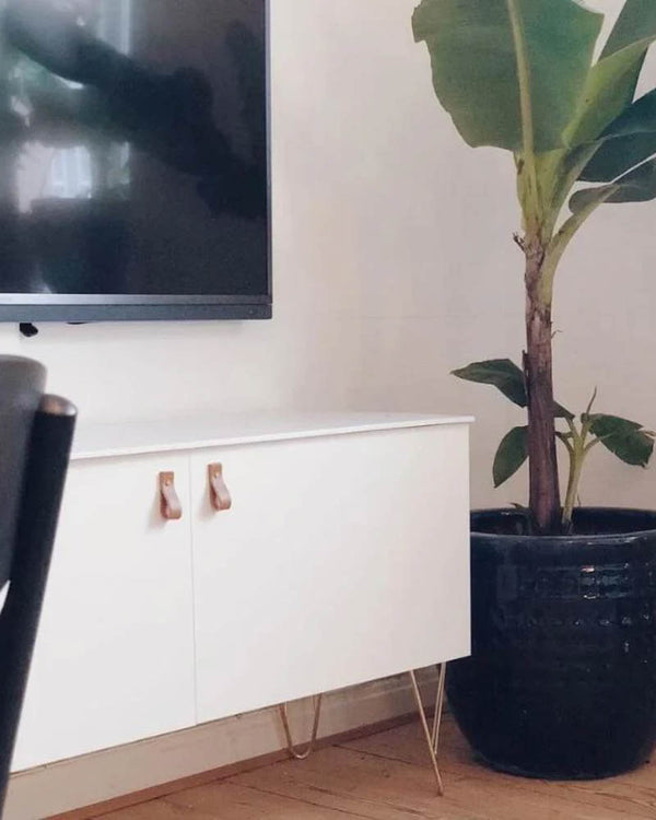 LOOP greb i cognac læder på hvidt tv-skab med hårnålsben ved stor grøn plante